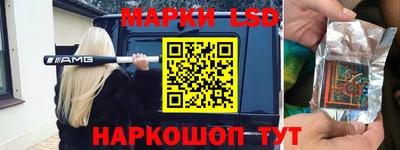 Альфа ПВП Кандалакша