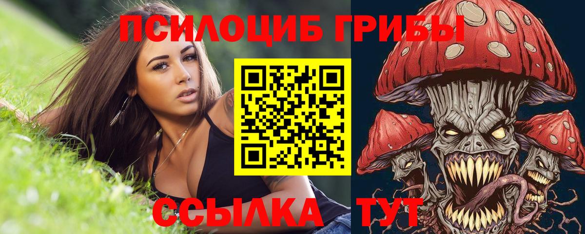 Галлюциногенные грибы GOLDEN TEACHER Каменск-Уральский